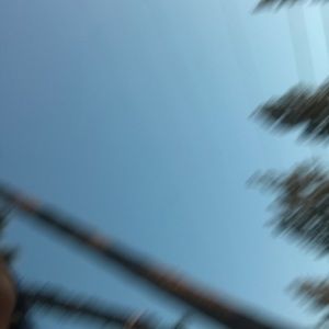 Meet your Posher, Marlene